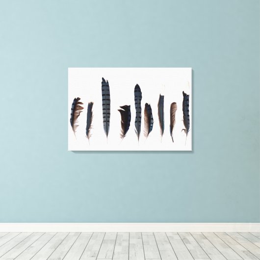Mooie Blue Jay Feathers Canvas Afdruk (Insitu (Houten vloer))