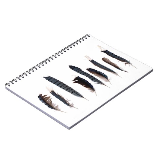 Mooie Blue Jay Feathers Notitieboek (Linkerzijde)