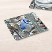 Mooie Blue Jay Kartonnen Onderzetters (Schuin)