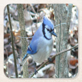 Mooie Blue Jay Kartonnen Onderzetters (Voorkant)