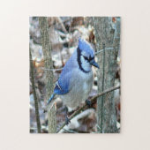 Mooie Blue Jay Legpuzzel (Verticaal)