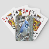 Mooie Blue Jay Pokerkaarten (Achterkant)