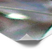 Mooie Blue Jay Poster (Hoek)