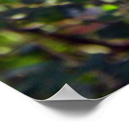 Mooie Blue Jay Poster (Hoek)