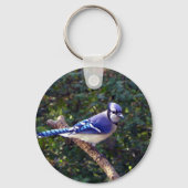 Mooie Blue Jay Sleutelhanger (Voorkant)