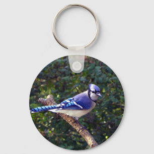 Mooie Blue Jay Sleutelhanger