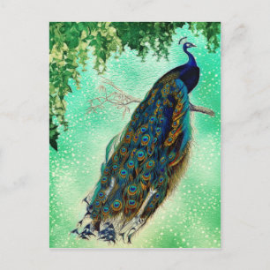 Mooie Blue Peacock Natuur Bird Tail  Briefkaart
