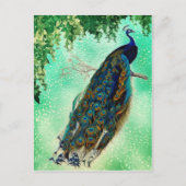 Mooie Blue Peacock Natuur Bird Tail  Briefkaart (Voorkant)