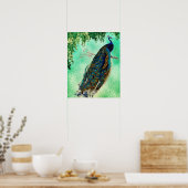 Mooie Blue Peacock Natuur Bird Tail  Poster (Keuken)
