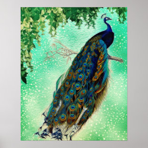 Mooie Blue Peacock Natuur Bird Tail  Poster