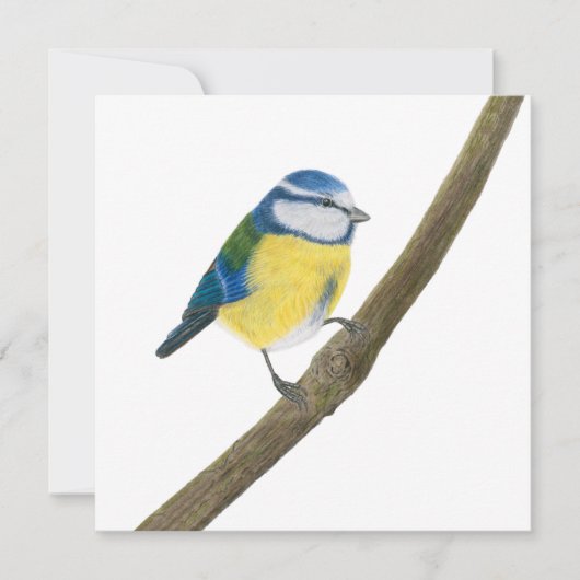 Mooie Blue tit Kaart (Voorkant)