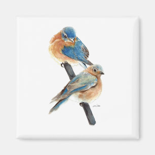 Mooie Bluebird Paar Waterverf Kunst Magneet