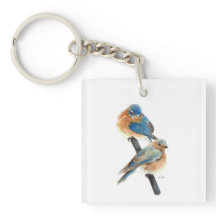 Mooie Bluebird Paar Waterverf Kunst