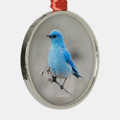 Mooie Bluebird Songbird in de Beach Metalen Ornament (Rechts)