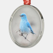 Mooie Bluebird Songbird in de Beach Metalen Ornament (Links)