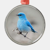 Mooie Bluebird Songbird in de Beach Metalen Ornament (Voorkant)
