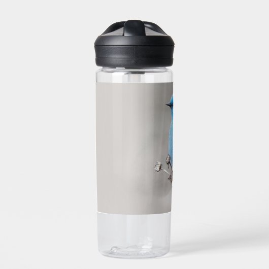 Mooie Bluebird Songbird in de Beach Waterfles (Voorkant)