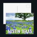 Mooie Bluebonnets Austin Texas Fotografie Briefkaart<br><div class="desc">Een mooie foto van Austin Texaanse bluebonnets in een veld van natuur maakt een  briefkaart voor een Texaan die van wilde bloemen houdt. Het is de staatsbloem en brengt grote trots.</div>