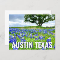 Mooie Bluebonnets Austin Texas Fotografie