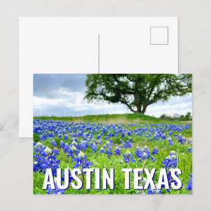 Mooie Bluebonnets Austin Texas Fotografie Briefkaart