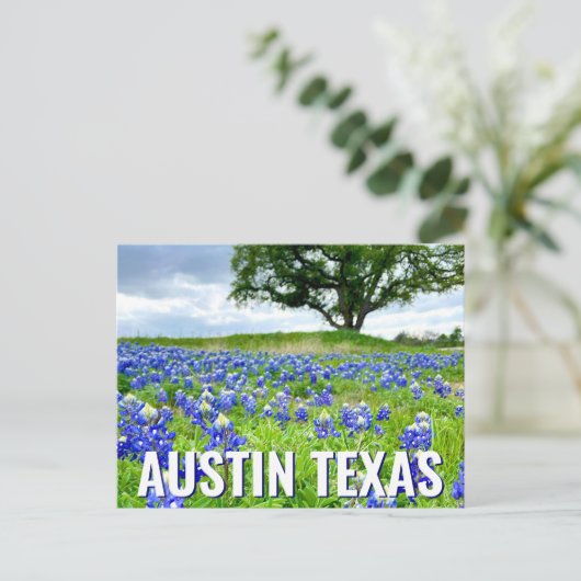 Mooie Bluebonnets Austin Texas Fotografie Briefkaart (Staand voorkant)