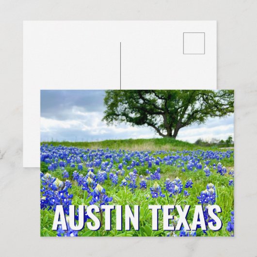 Mooie Bluebonnets Austin Texas Fotografie Briefkaart (Voorkant / Achterkant)