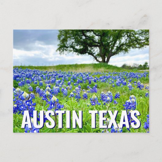 Mooie Bluebonnets Austin Texas Fotografie Briefkaart (Voorkant)