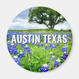 Mooie Bluebonnets Austin Texas Fotografie Magneet