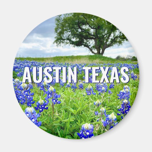 Mooie Bluebonnets Austin Texas Fotografie Magneet (Voorkant)