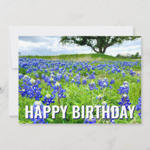 Mooie Bluebonnets Foto Happy Birthday Kaart