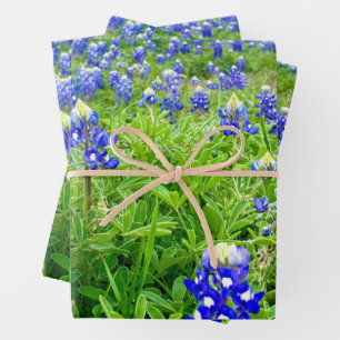 Mooie Bluebonnets Texas Fotografie Inpakpapier Vel
