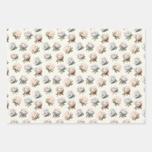 Mooie blush witte koning protea bloem patroon inpakpapier vel (Voorkant 3)