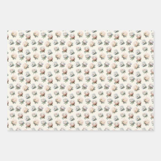 Mooie blush witte koning protea bloem patroon inpakpapier vel (Voorkant 2)