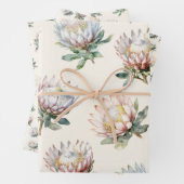 Mooie blush witte koning protea bloem patroon inpakpapier vel (In situ)