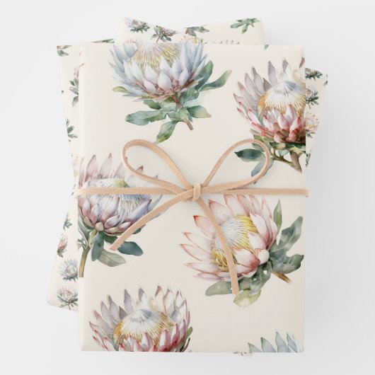 Mooie blush witte koning protea bloem patroon inpakpapier vel (In situ)