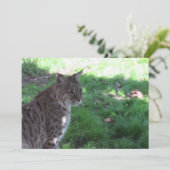 Mooie Bobcat - Platte Kaart (Staand voorkant)