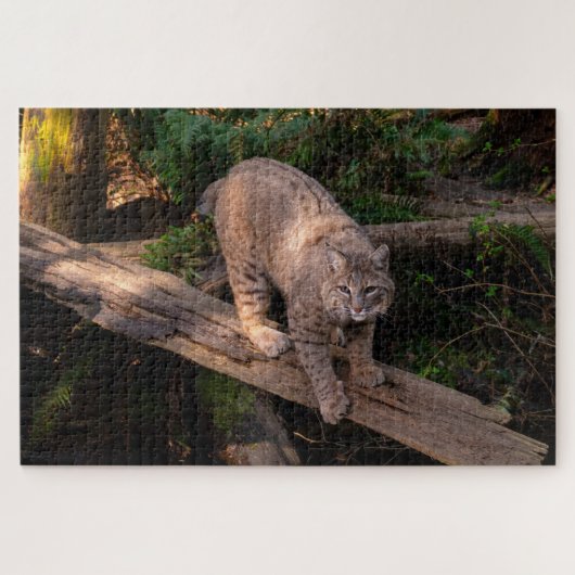 Mooie Bobcat uitdagende wildlife Lover Legpuzzel (Horizontaal)