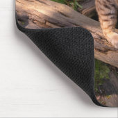 Mooie Bobcat Wildlife Lover - Aangepaste naam Muismat (Hoek)