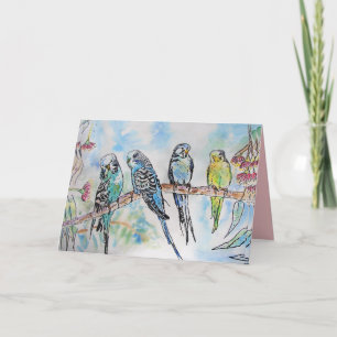 Mooie boedgies Budgerigars en Gum Blossom Kaart
