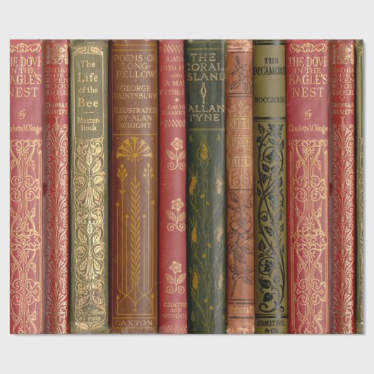 Mooie boekencijnen cadeaupapier (Vlak)