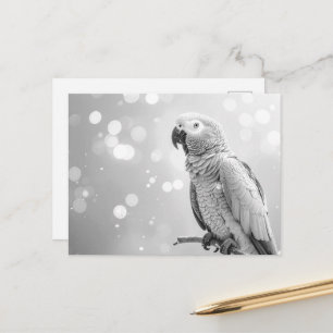 Mooie Bokeh Afrikaanse Grijze Briefkaart