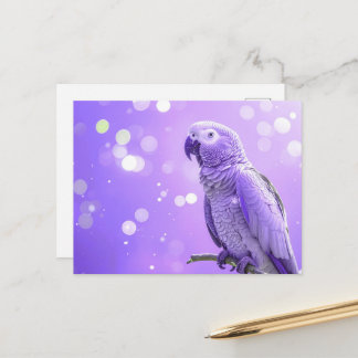 Mooie Bokeh Afrikaanse Grijze Papegaai Briefkaart