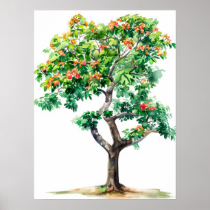 Mooie Bombax Ceiba Tree Waterverf Poster