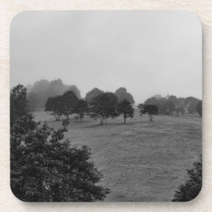Mooie bomen en natuur in mist bier onderzetter