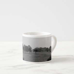 Mooie bomen en natuur in mist espresso kop