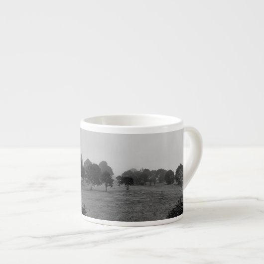 Mooie bomen en natuur in mist espresso kop (Voorkant rechts)