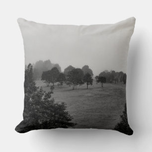 Mooie bomen en natuur in mist kussen