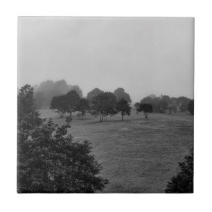 Mooie bomen en natuur in mist tegeltje