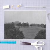 Mooie bomen en natuur in mist tissuepapier (Craft)