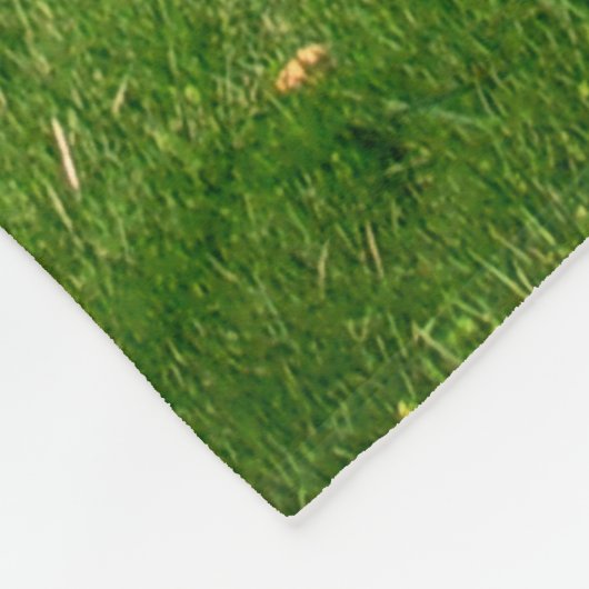 Mooie bomen in het Natuur landschap Fleece Deken (Hoek)